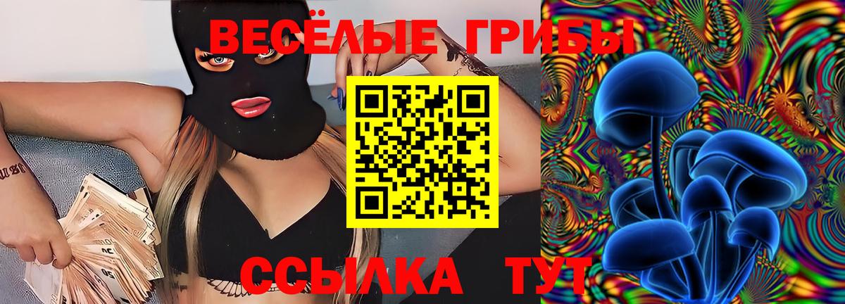 Кокаин  Конопля  Ефремов  ЭКСТАЗИ  Гашиш  Вход с VPN  Мефедрон кристаллы 